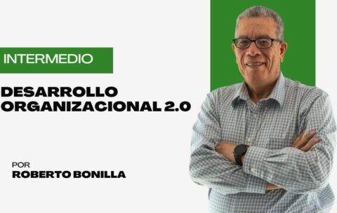 Desarrollo Organizacional 2.0
